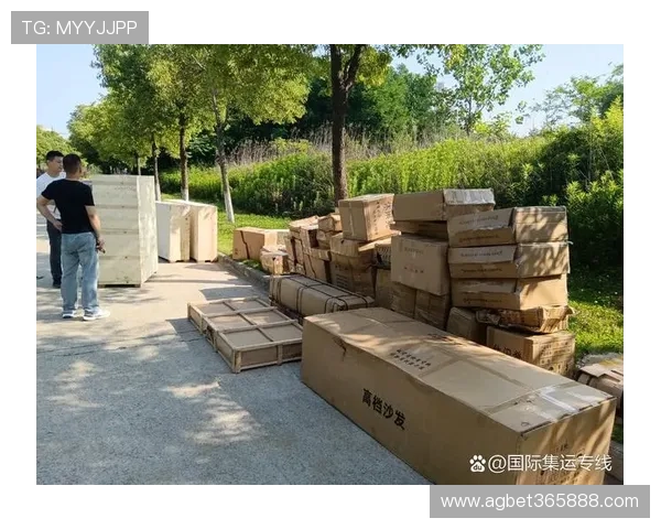 速发国际365，专业的全球仓储物流覆盖多国多地区