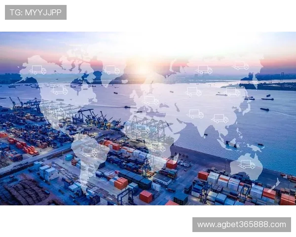 3365速发国际物流服务让您轻松实现全球货物快速到达