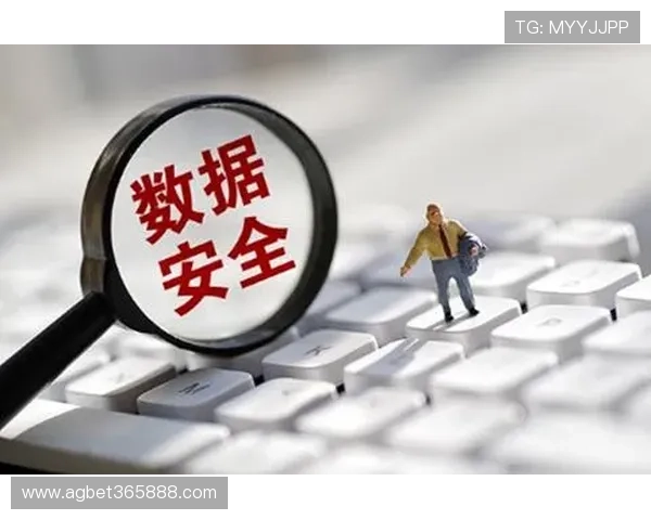 B体育电游游戏的安全性与账号保护措施确保玩家个人信息安全